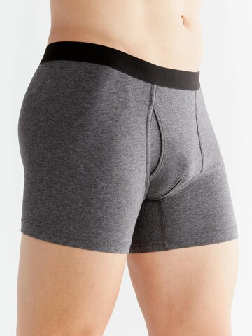 Albero Natur Boxer shorts in Grey