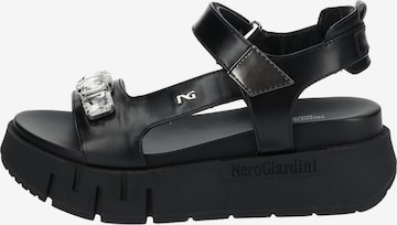 Sandales Nero Giardini en noir