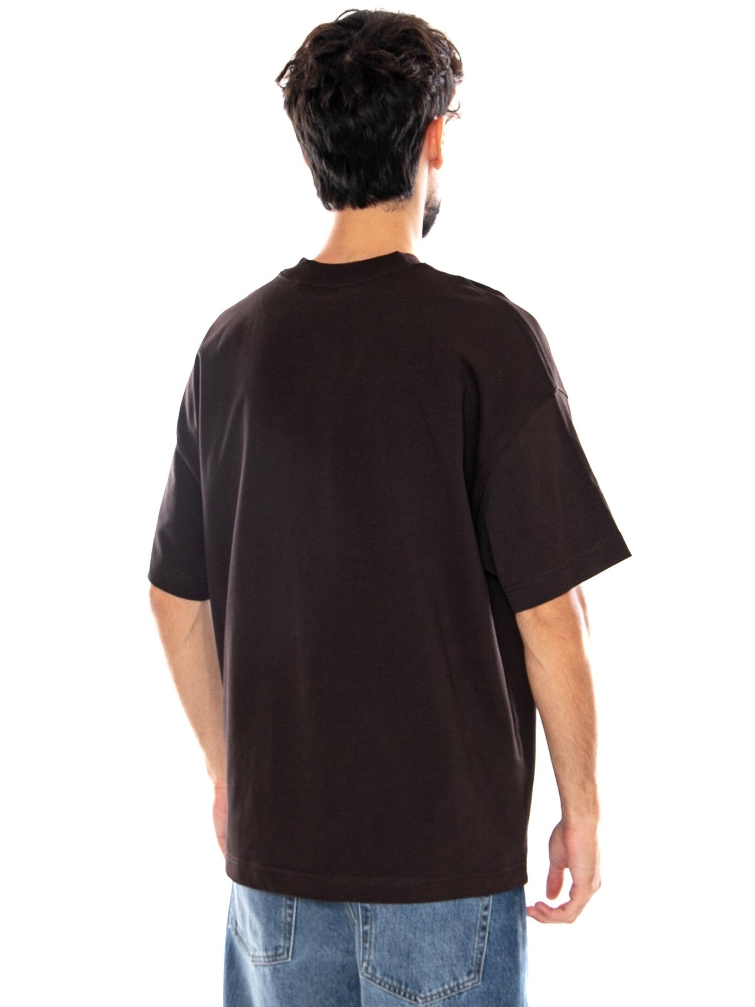 Carhartt WIP Shirt 'S/S CHAPTER SCRIPT T-SHIRT TOBACCO / WHITE' in Brown