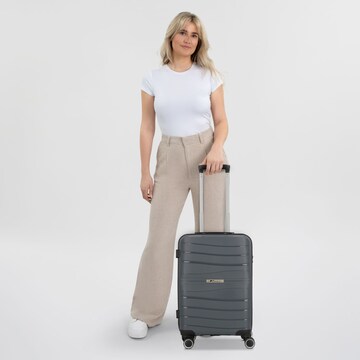 cocoono Trolley 'Leon' in Grey