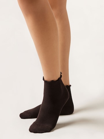 CALZEDONIA Socks in Brown: front