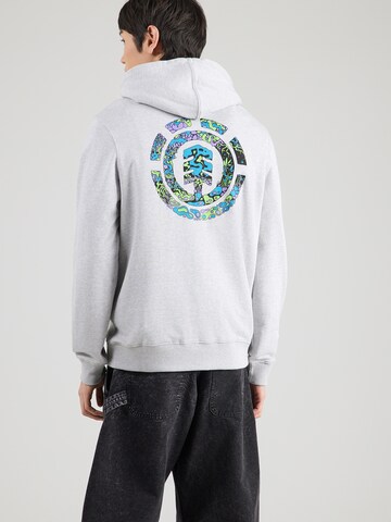 ELEMENT Sweatshirt 'SWAMPS' i grå: framsida
