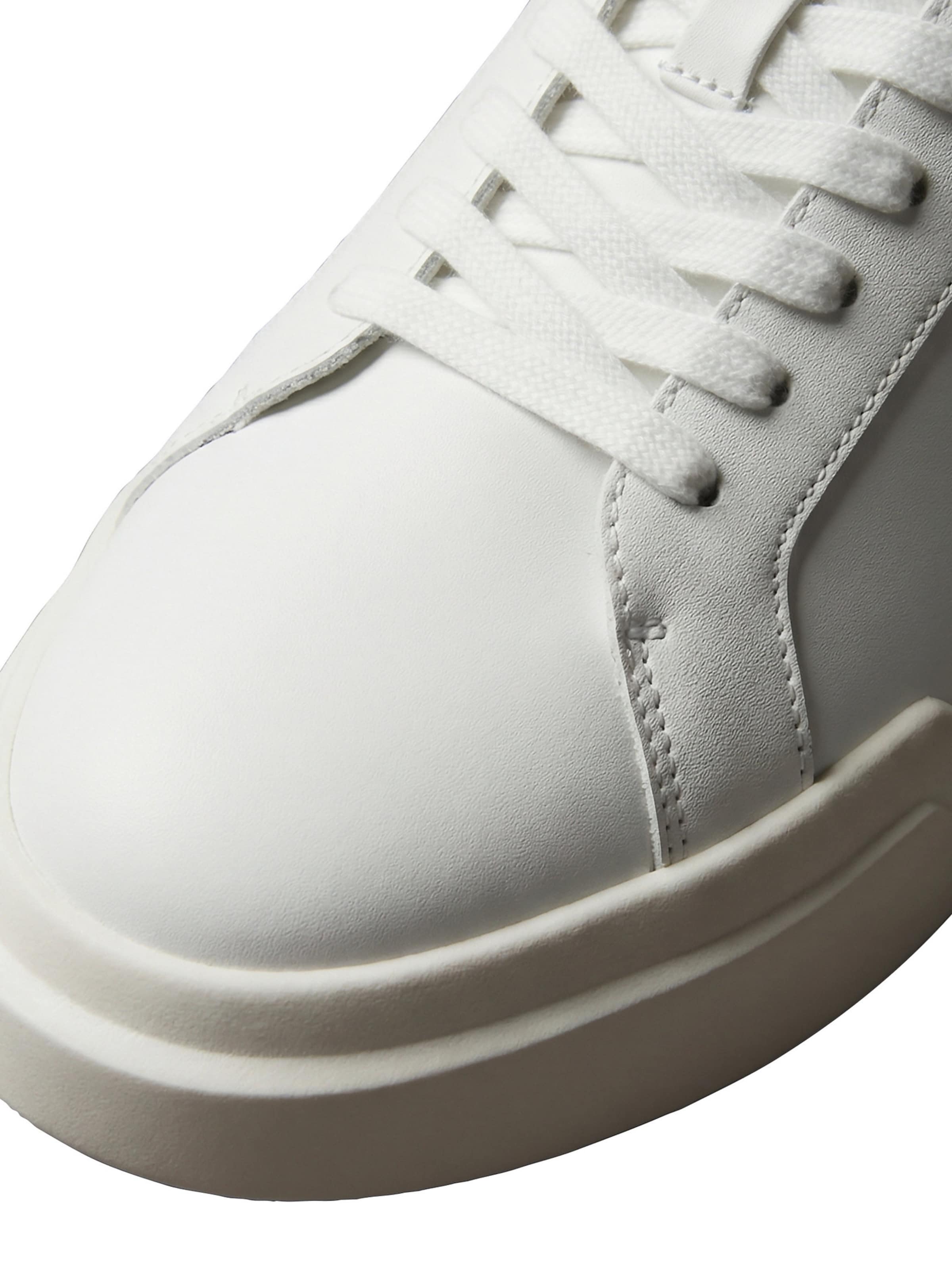 Baskets basses Calvin Klein en blanc