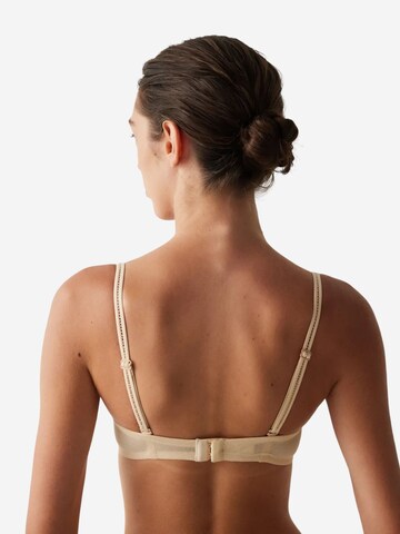 Penti Klasičen Nedrček 'BHs & Bralettes' | bež barva