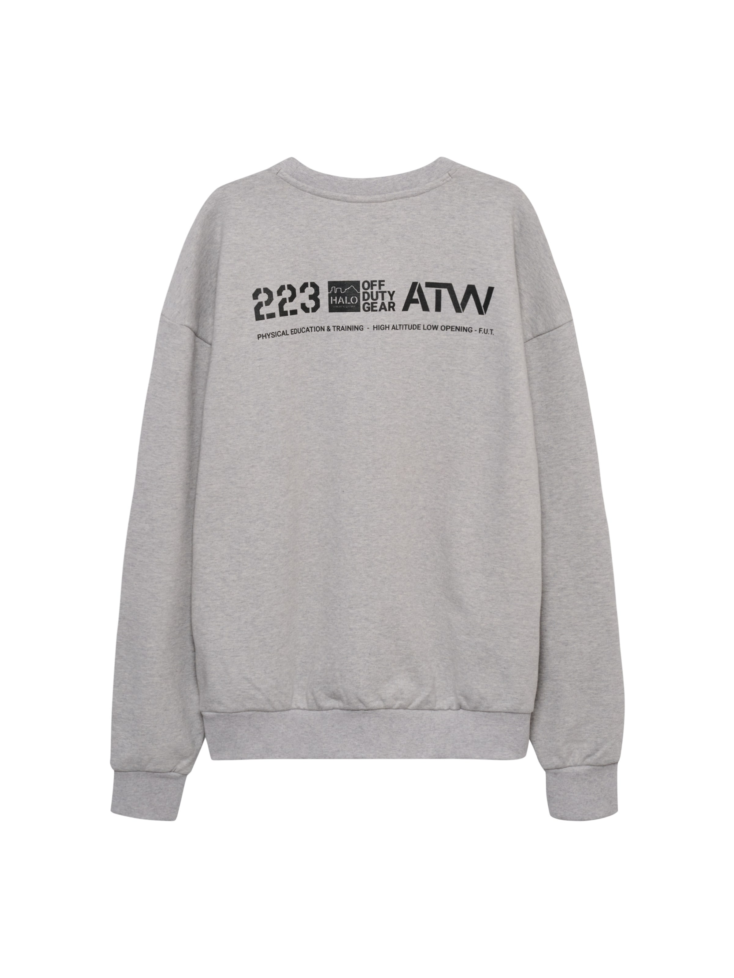 HALO Sweatshirt in Grau