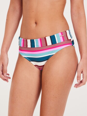 PROTEST Bikini bottom 'MIXLAVA 24' in Pink