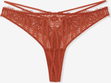 String di ETAM in marrone: frontale