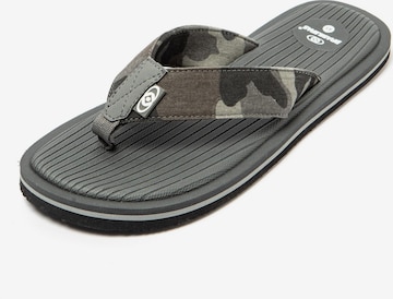 Brasileras - Zapatos para playa y agua 'Army' en gris: frente