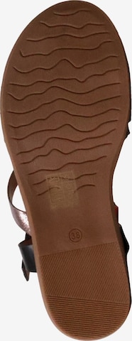 POTI PATI - Sandalias 'Flache Sandalen mit Riemchen' en negro