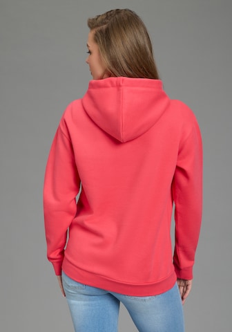 DELMAO Sweatshirt in Rot