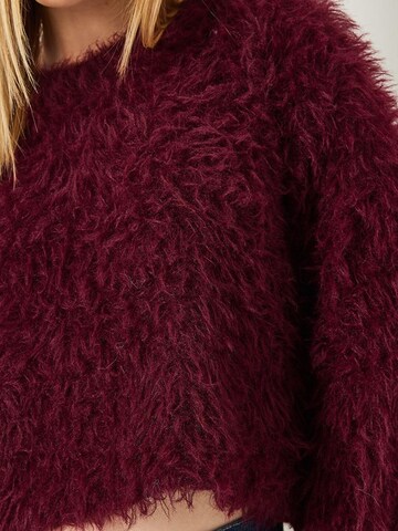 Bianco LucciPulover 'Pullover' - crvena boja