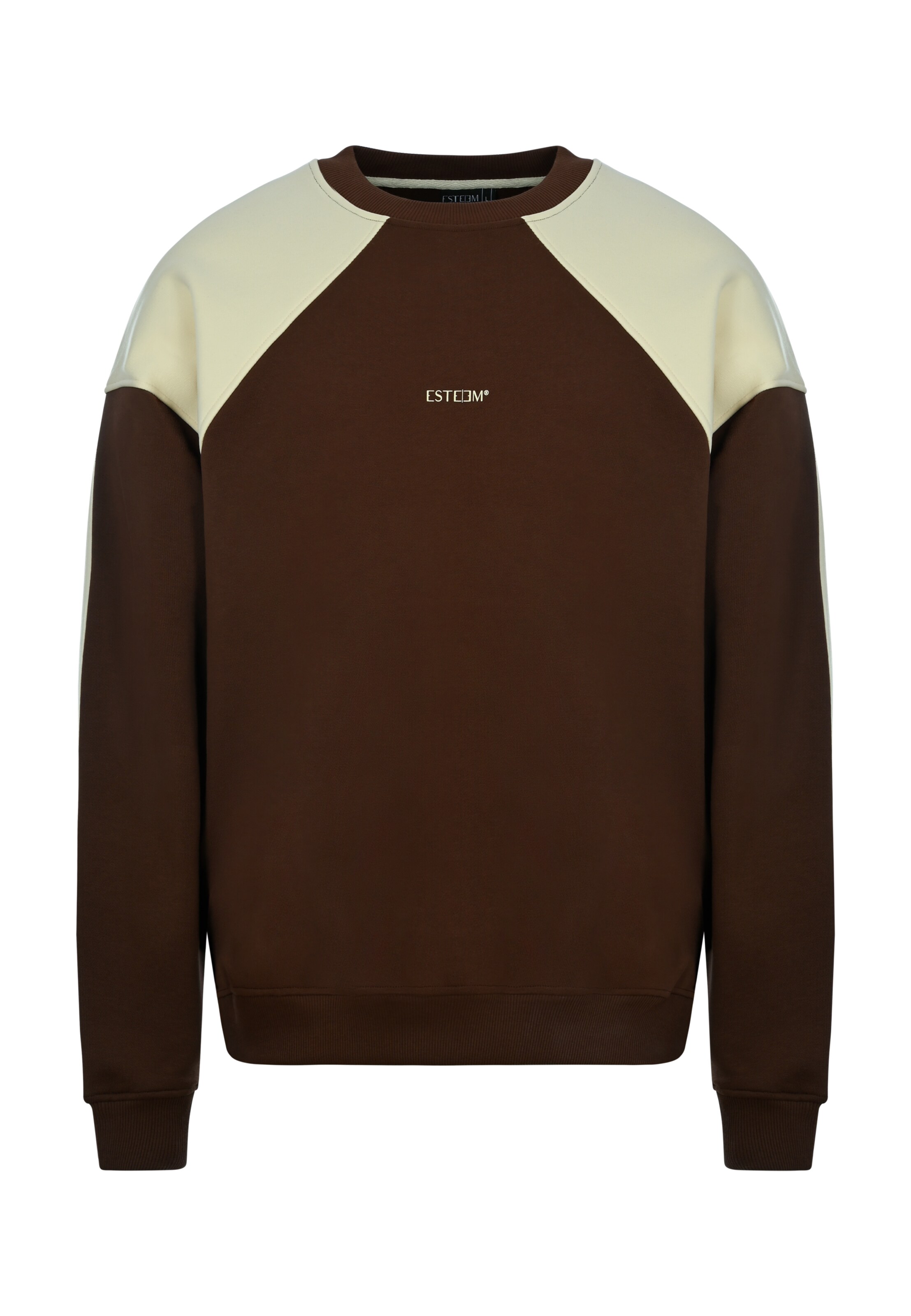 ESTEEM Collegepaita ' Two Tone Oversized ' värissä ruskea: etupuoli