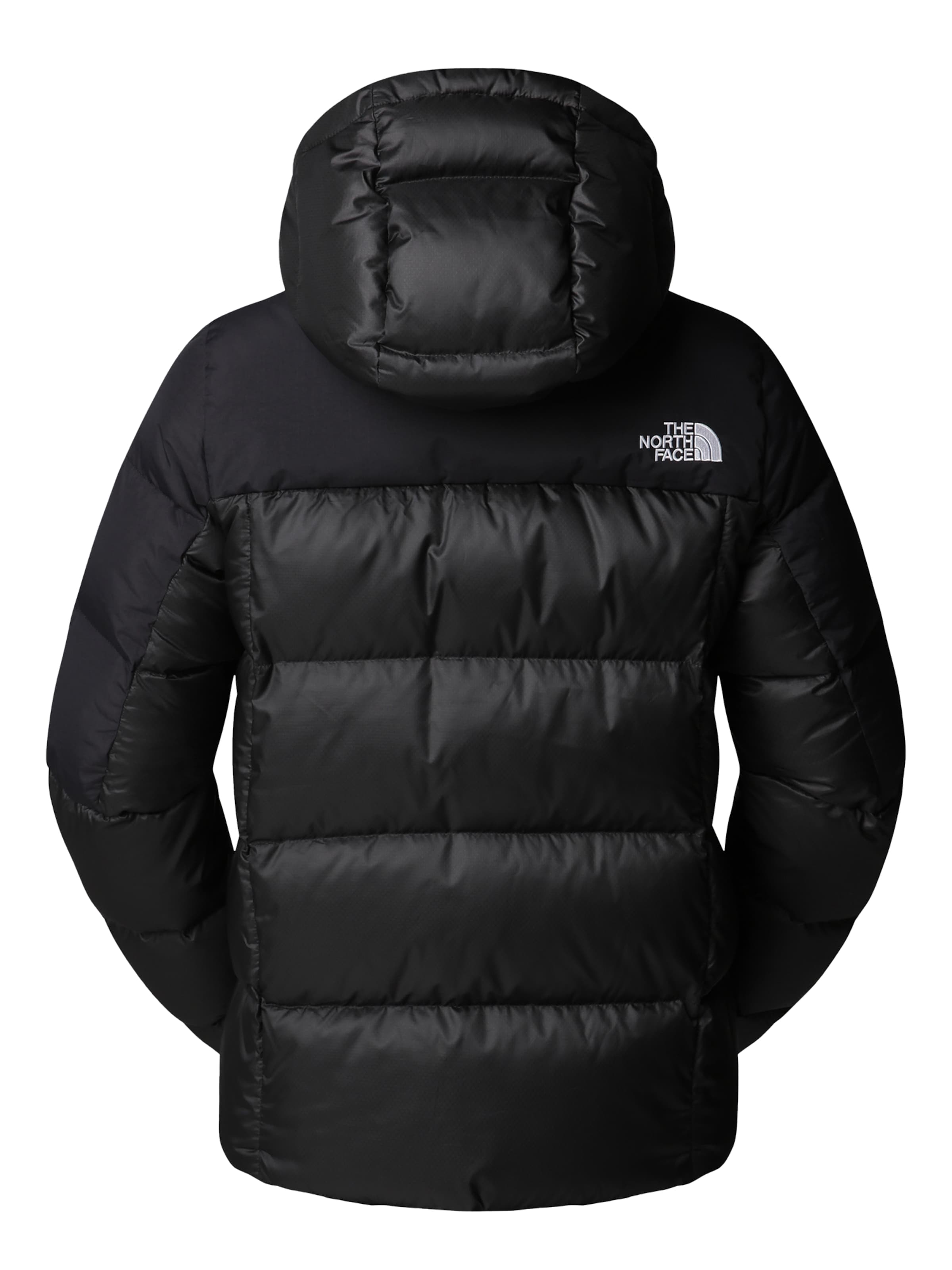 Veste outdoor 'Diablo' THE NORTH FACE en noir