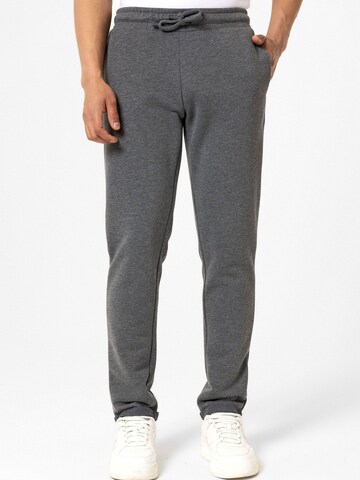 Williot Tapered Pants 'Esteban' in Grey: front