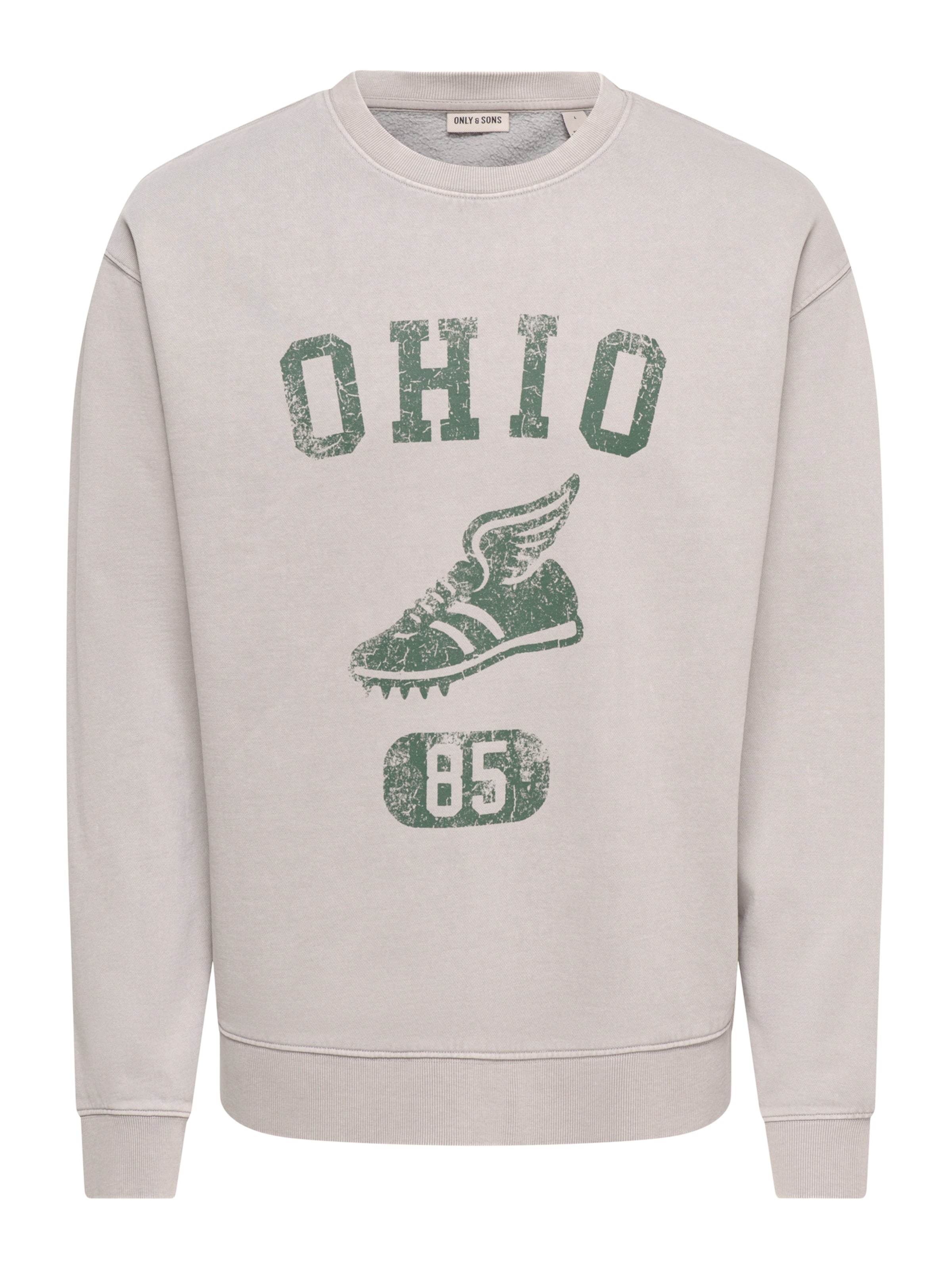 Only & Sons Sweatshirt 'ONSCREATIVE' in Grau: Vorderseite
