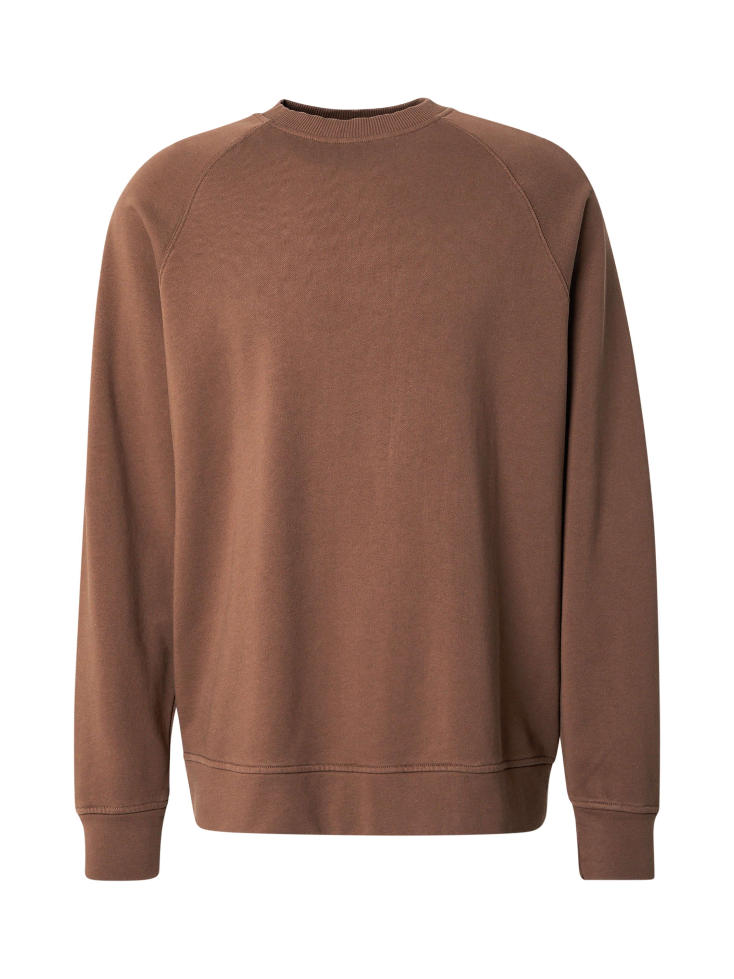 Sweat-shirt TRAPP en marron : devant