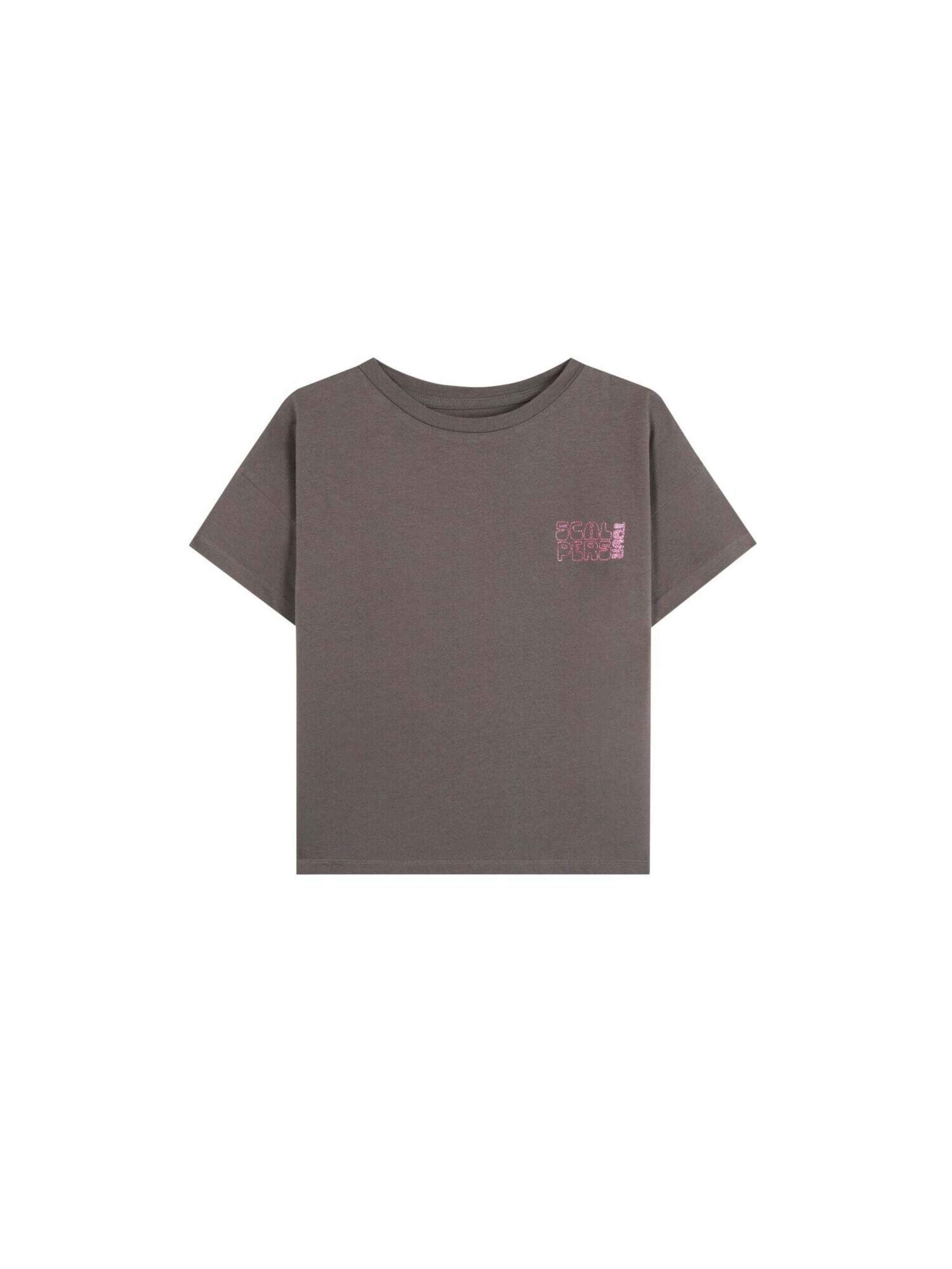 Maglietta 'Concert' di Scalpers in grigio: frontale