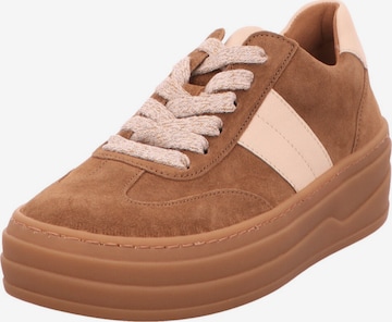 GABOR Sneaker Low in Braun: Vorderseite