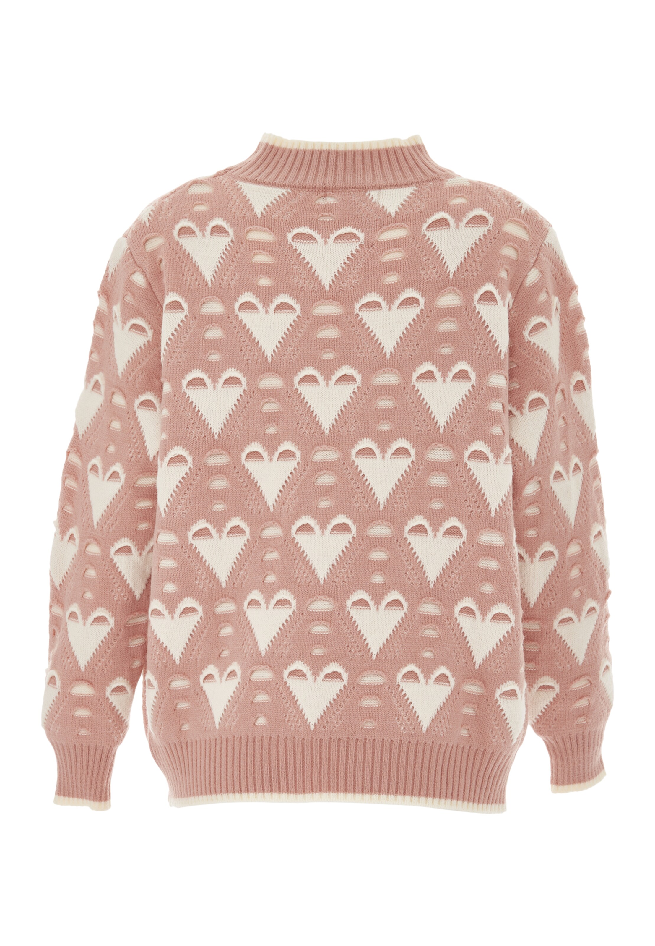 swirly Свитер в Ярко-розовый