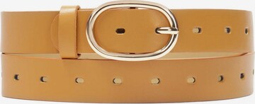 Kazar Belt in Brown: front