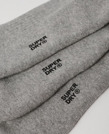 Superdry Socken in Grau
