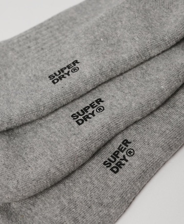 Chaussettes Superdry en gris