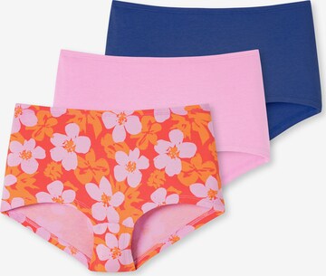 SCHIESSER Panty ' 95/5 Organic Cotton ' in Blau: predná strana