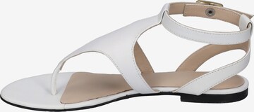 GERRY WEBER T-Bar Sandals 'Gadera' in White