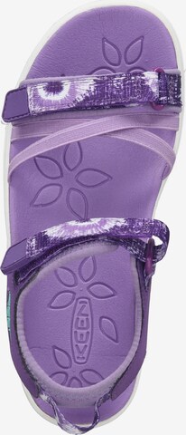 KEEN Sandals 'Verano' in Purple