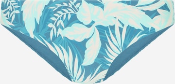 RIP CURL Bikini Bottoms 'SUN RAYS' in Blue: front