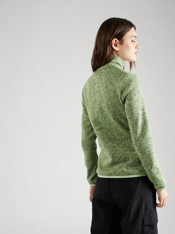 Jachetă  fleece funcțională 'Newhill' de la REGATTA pe verde