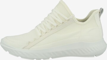 Baskets basses ECCO en blanc