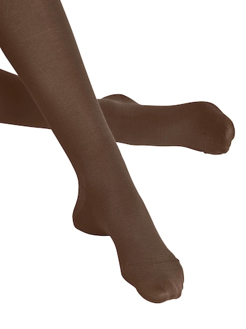 FALKE Strumpfhose 'Softmerino'‌‌ in Braun
