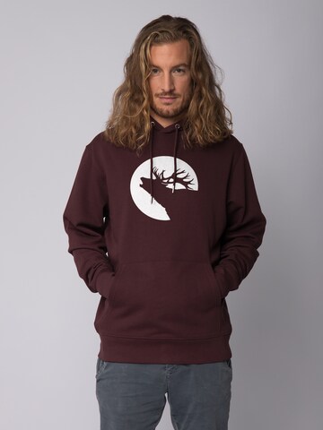 Sweat-shirt ' Röhrender Hirsch ' Watapparel en marron : devant