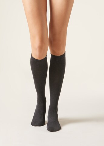 CALZEDONIA Socken in Grau: Vorderseite