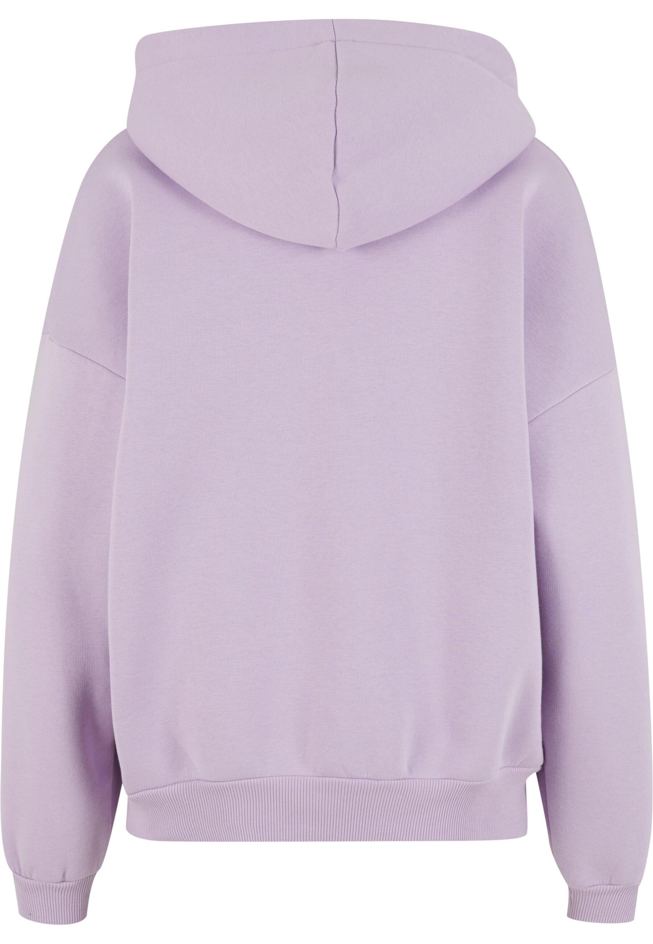 Felicious Sweatshirt in Purple