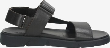 GEOX Slippers in Black