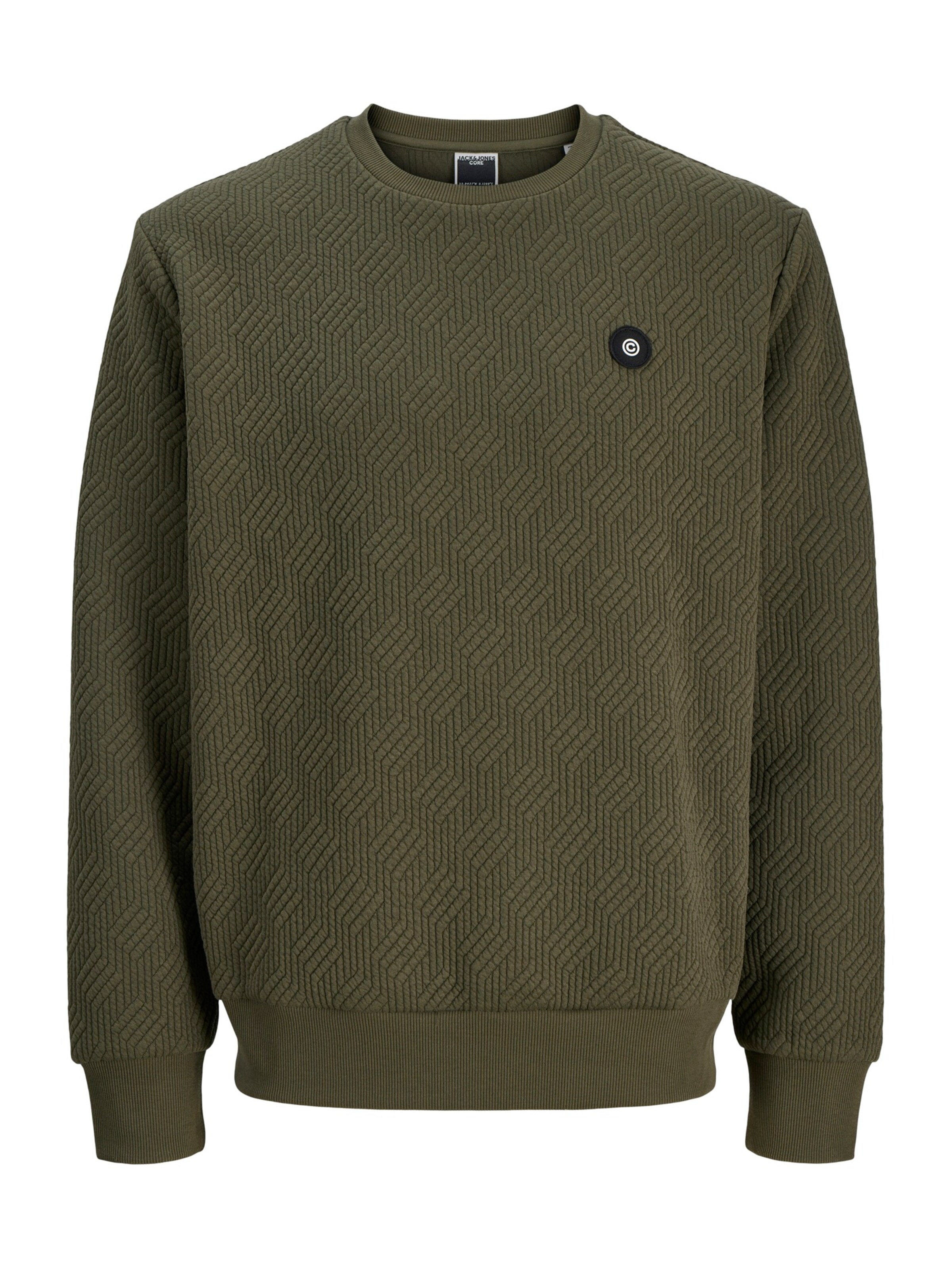 Jack & Jones Plus Sweatshirt 'JCOGEO' i grön: framsida