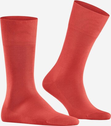 FALKE Socken in Rot