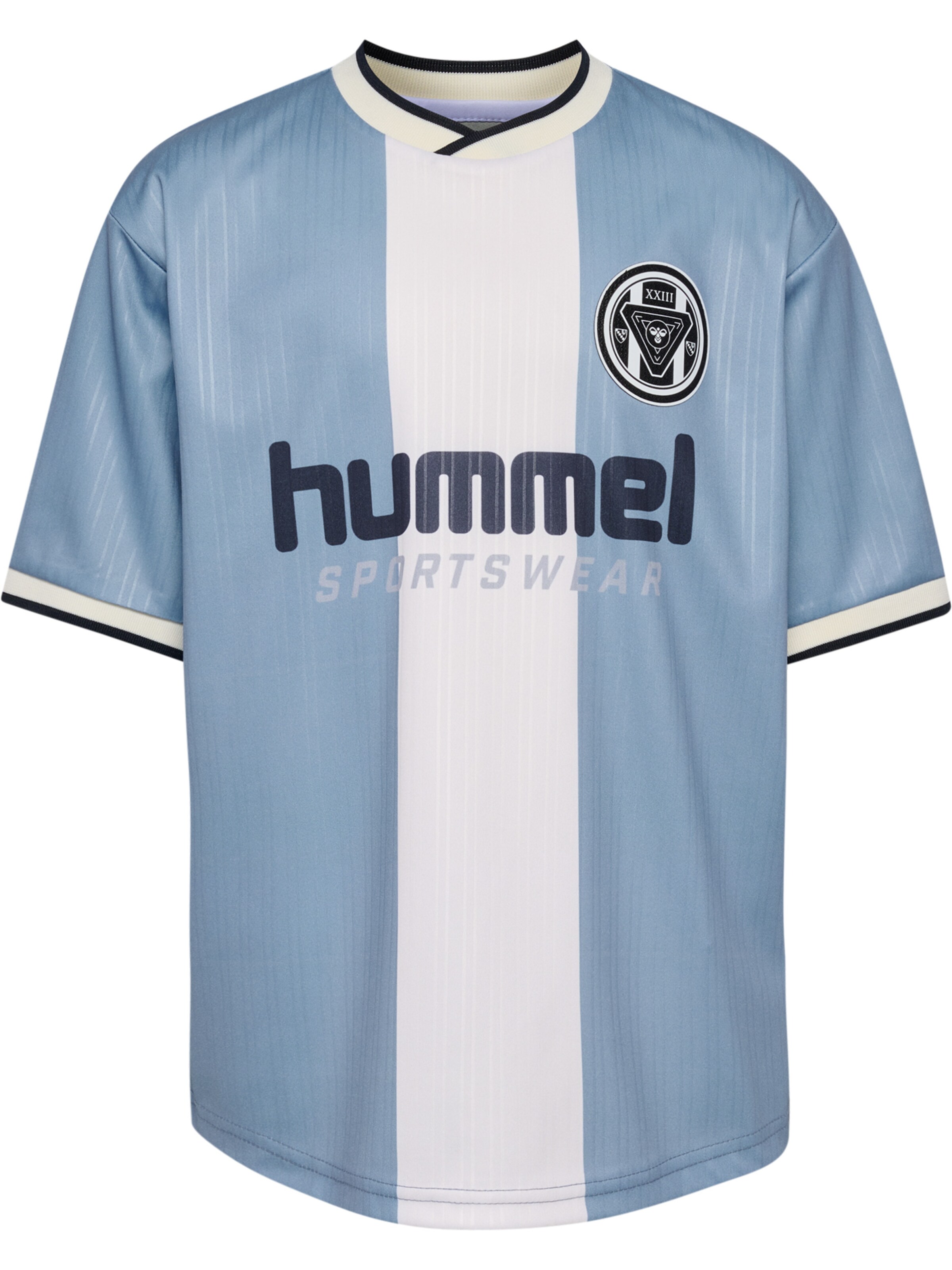 Hummel Performance shirt 'Loose Ball' in Blue: front