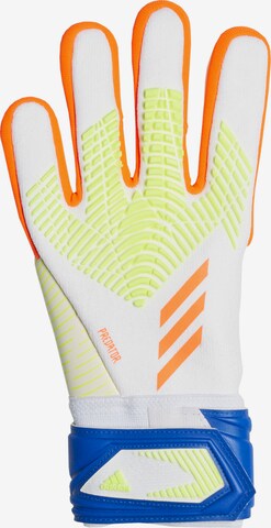 ADIDAS SPORTSWEAR Sporthandschuhe 'Predator Edge League' in Weiß: predná strana