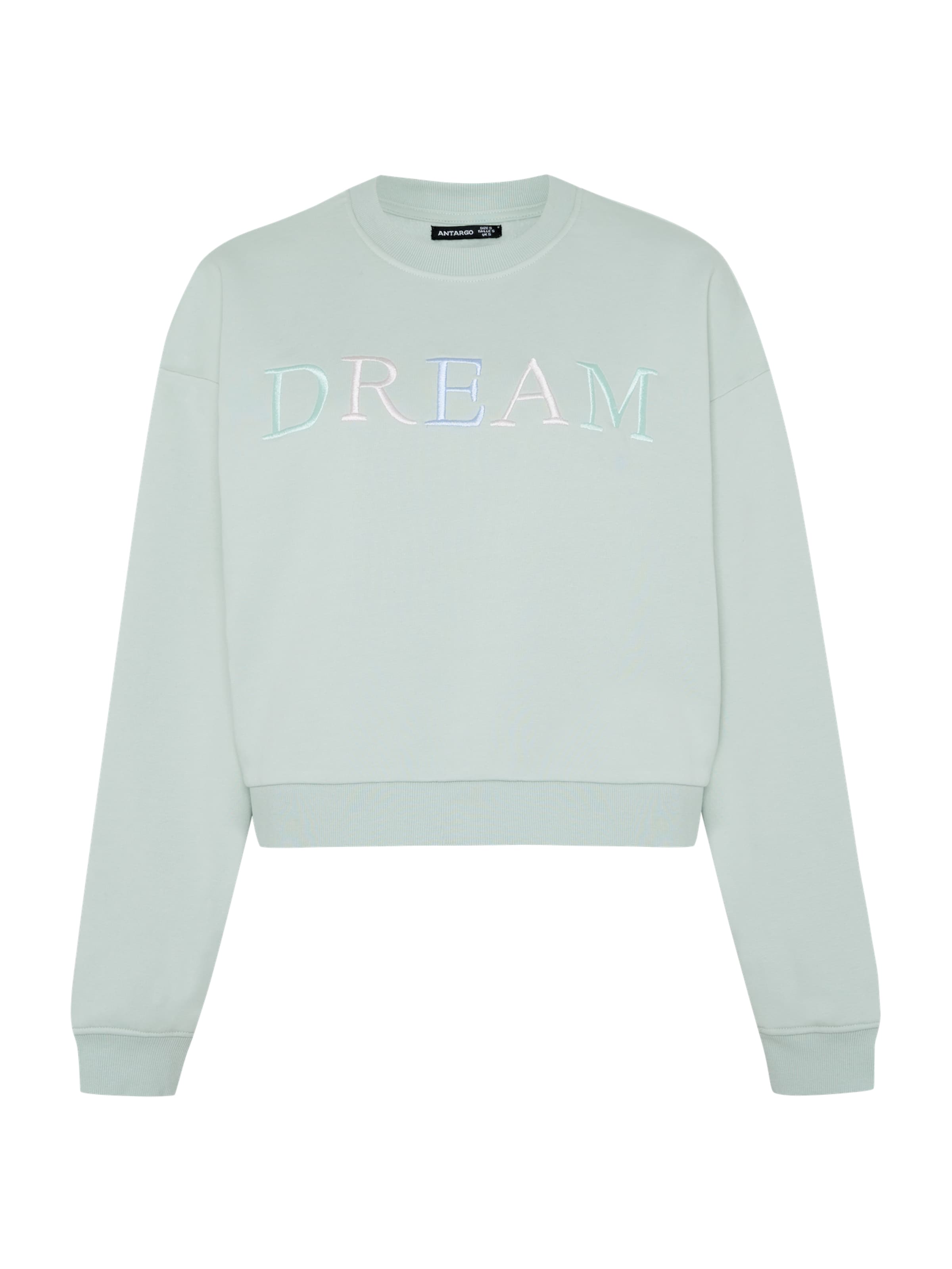 antargo Sweatshirt in Green: front