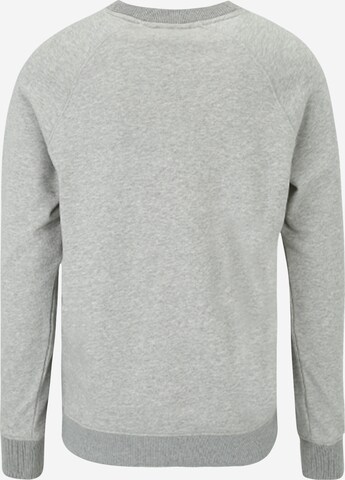 SCOTCH & SODA Sweatshirt in Grey