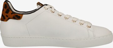 Högl Sneakers in White