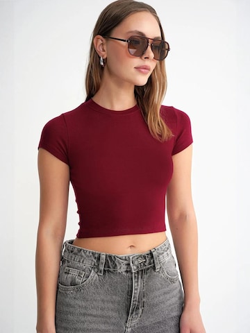 MixRay Shirt in Rood