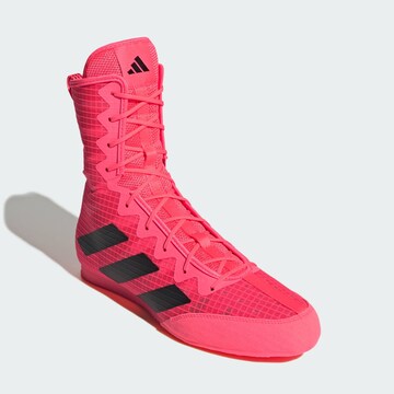 Scarpa sportiva 'Box Hog 4' di ADIDAS PERFORMANCE in rosa