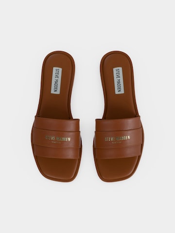 STEVE MADDEN Muiltjes 'Ashten' in Bruin