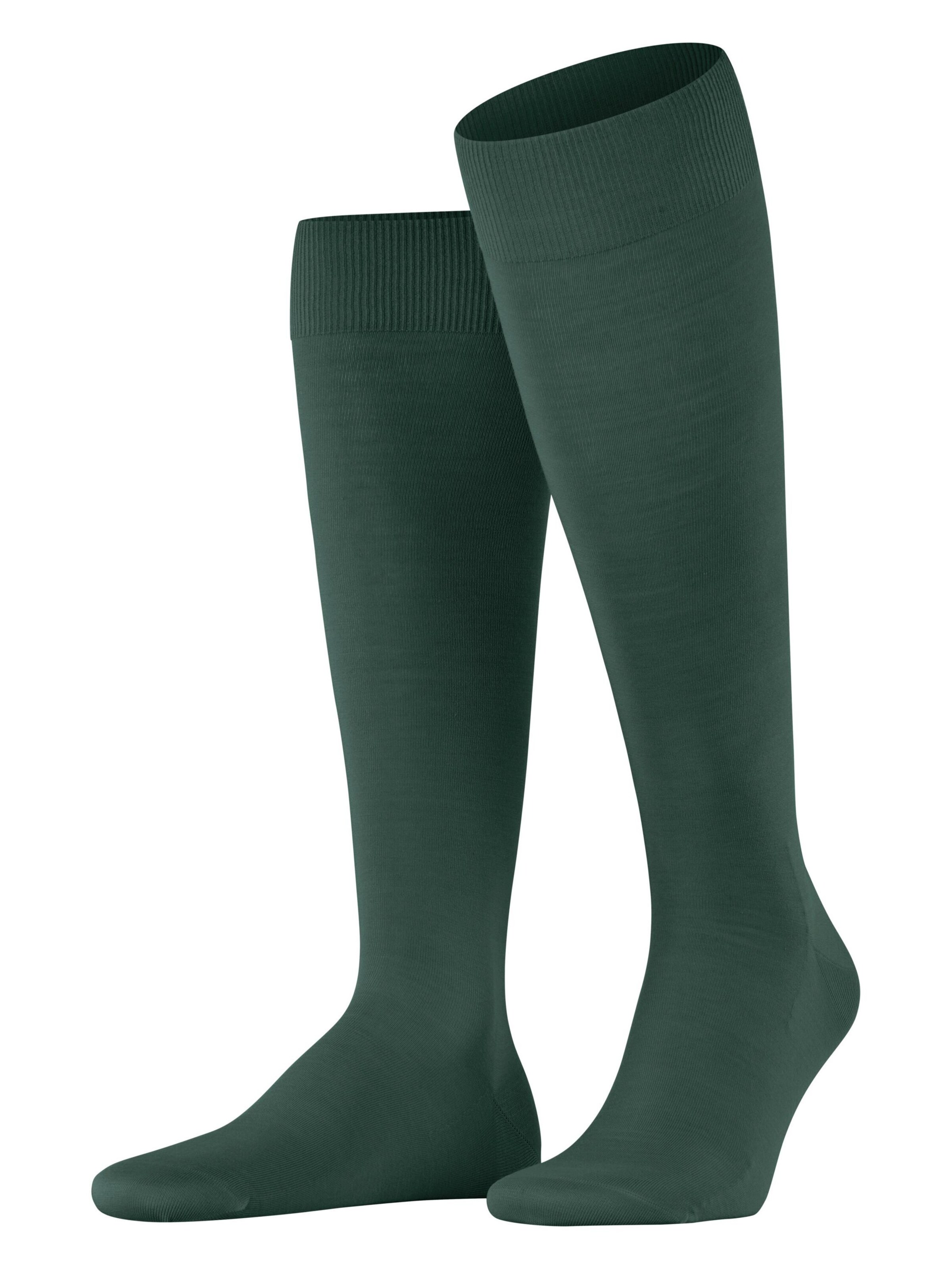 FALKE Knee High Socks 'ClimaWool' in Green: front