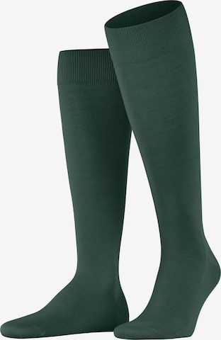 FALKE Knee High Socks 'ClimaWool' in Green: front