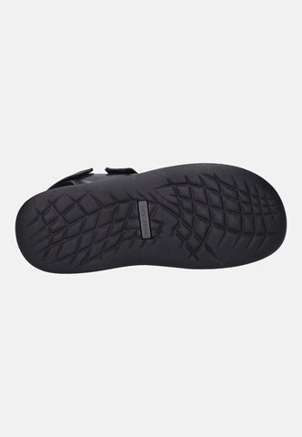 JOSEF SEIBEL Sandal 'Rafe' in Black